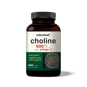 Choline Supplements 500mg with Omega-3 Fatty Acids, 240 Capsules