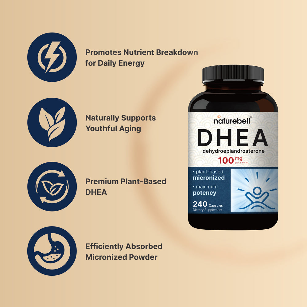 DHEA 100mg, 240 Capsules | Max Strength, Micronized Grade for Better Absorption