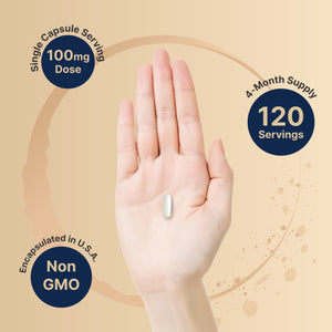 DHEA 100mg, 240 Capsules | Max Strength, Micronized Grade for Better Absorption